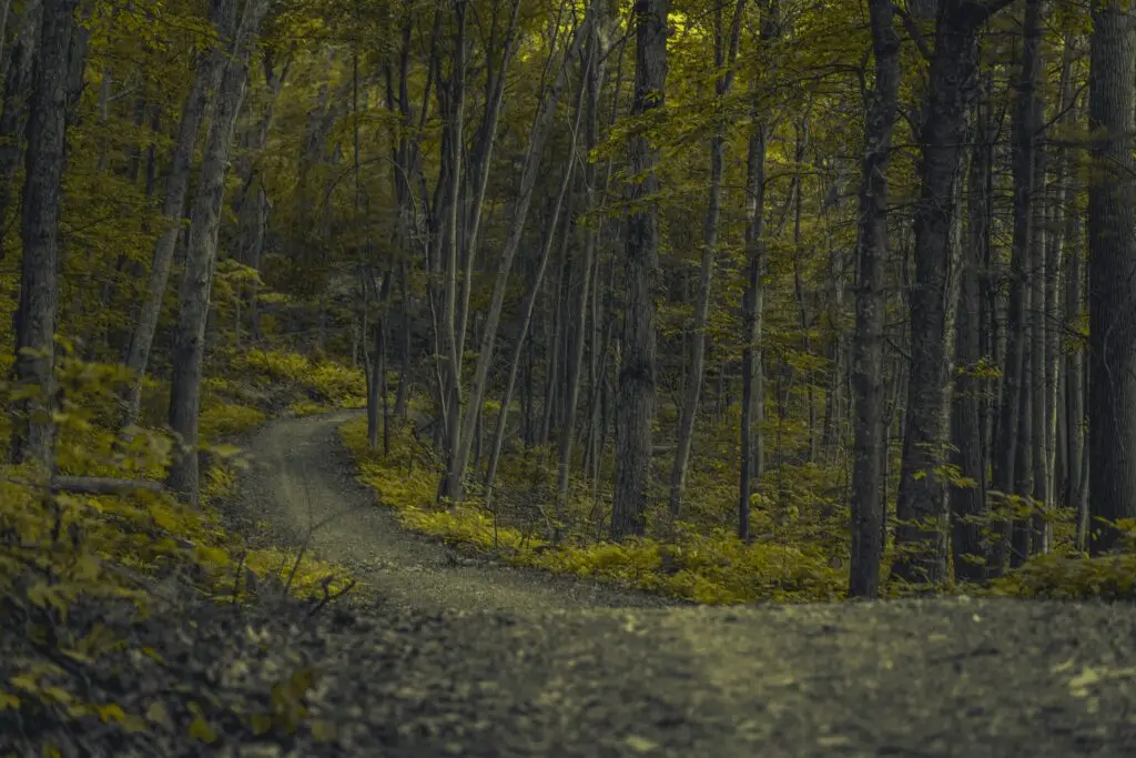 Best hiking trails in Connecticut - scenic view