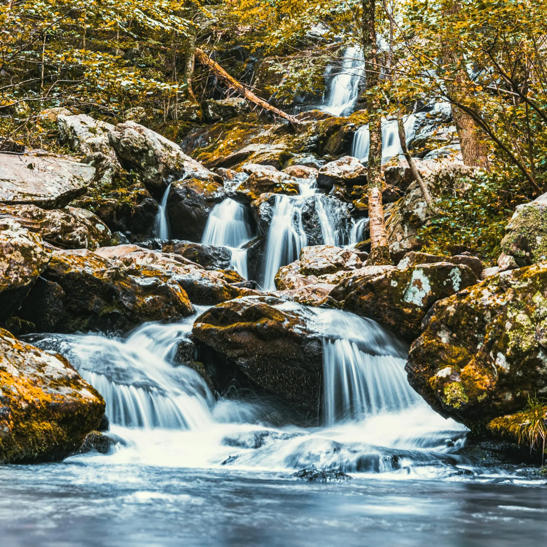 A tranquil waterfall cascading over rocks in a lush forest, showcasing beautiful autumn colors.