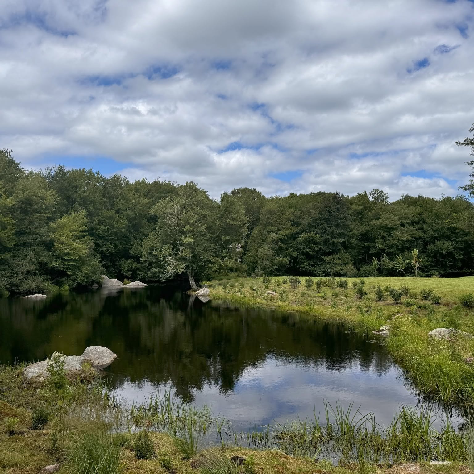 Moving to Eastern Connecticut - A beautiful historic New England home surrounded by autumn trees