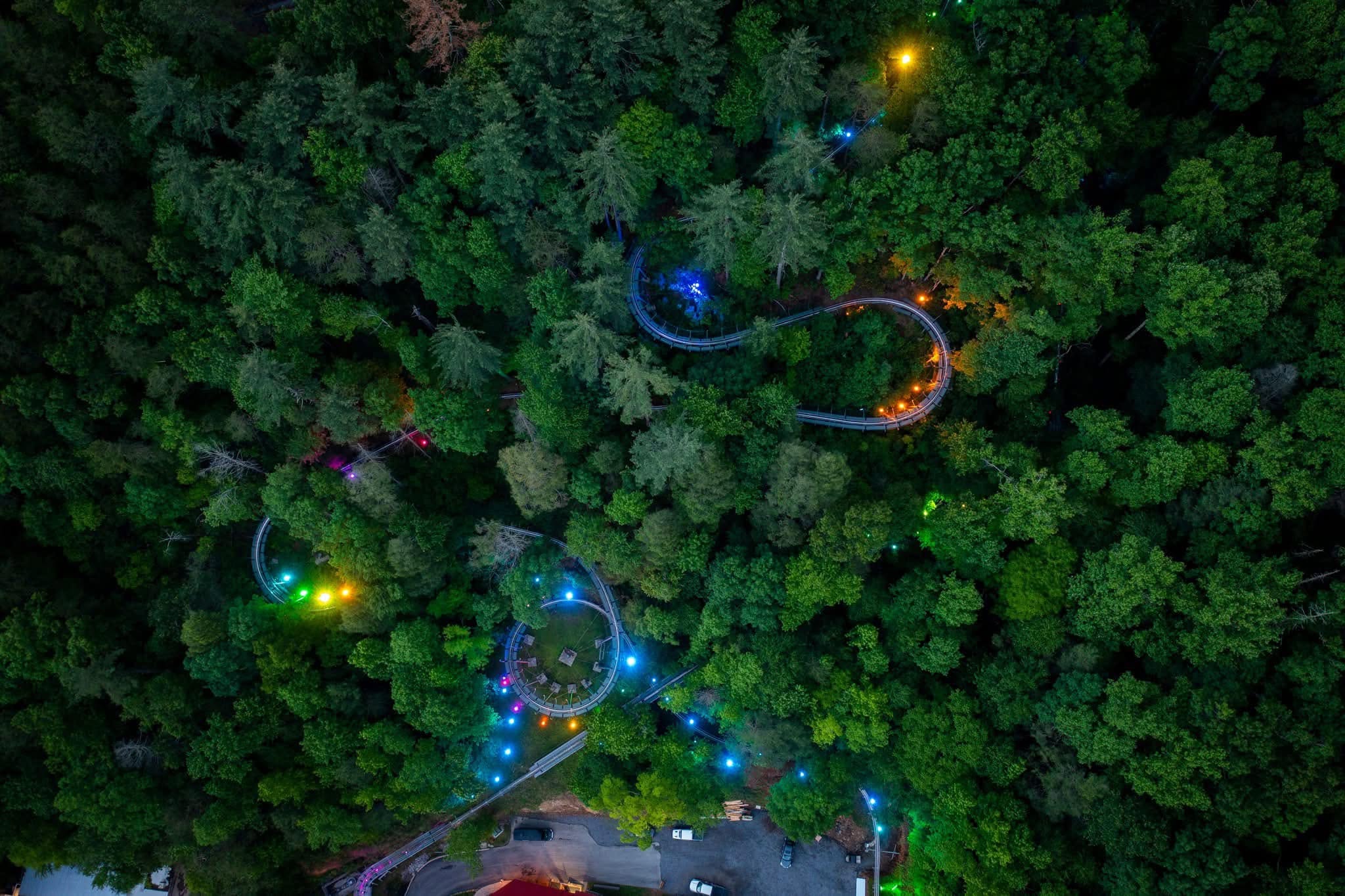 Ride the Smoky Mountain Alpine Coaster